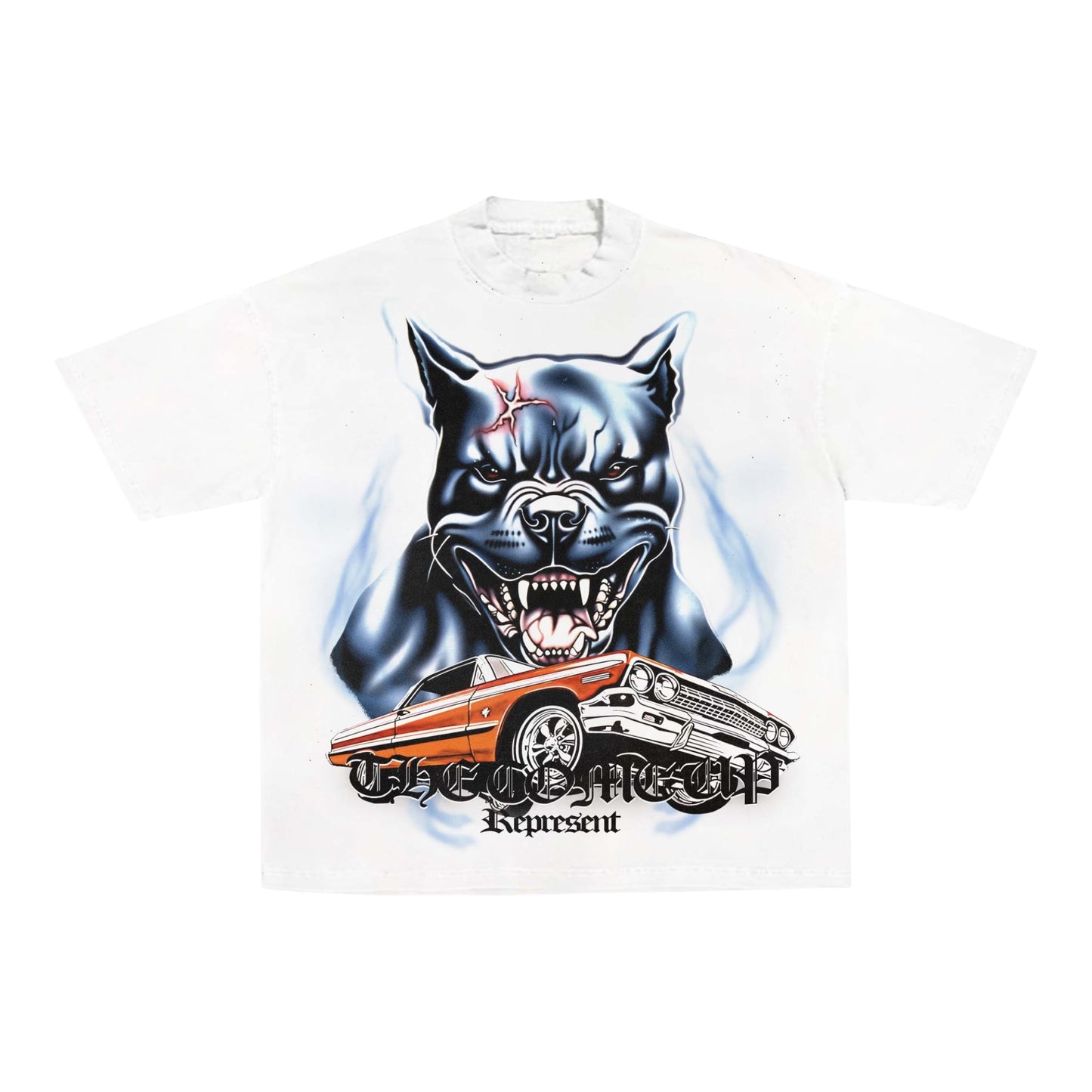 [TCU] Motion Over Emotions